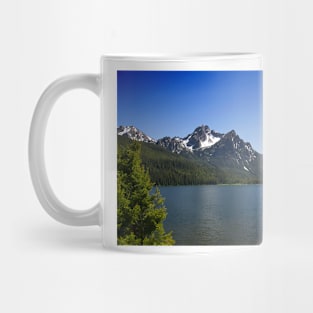 850_1805 Mug